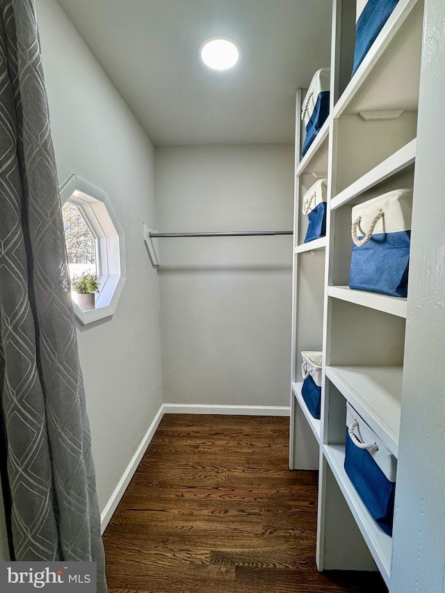 spacious closet with wood finished floors