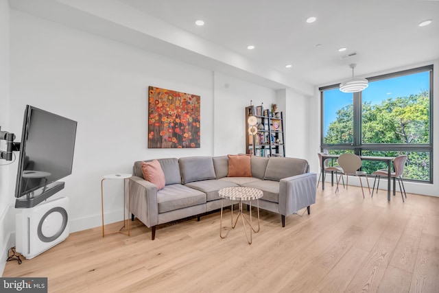 living room with light hardwood / wood-style flooring