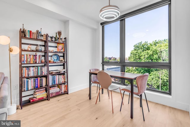 dining space featuring light hardwood / wood-style floors