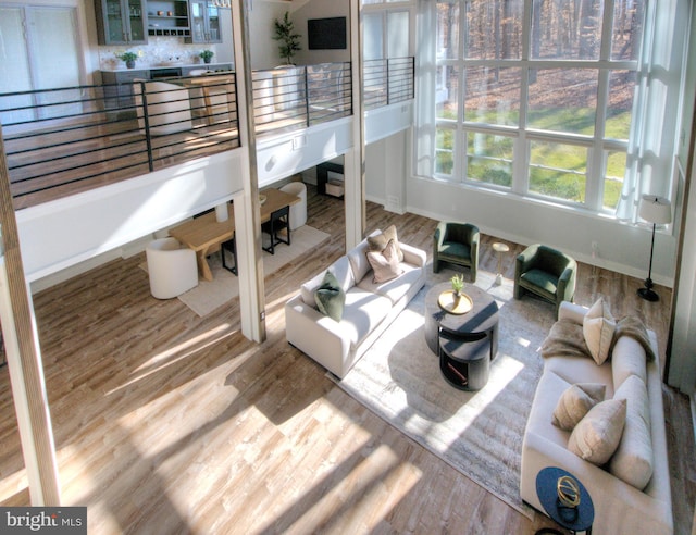 living room with light hardwood / wood-style flooring