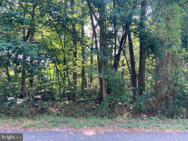 Bay Pointe Dr, Montross VA, 22520 land for sale