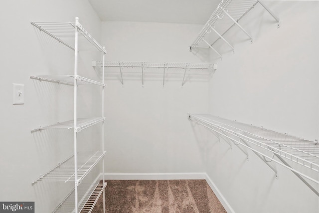 spacious closet featuring carpet floors