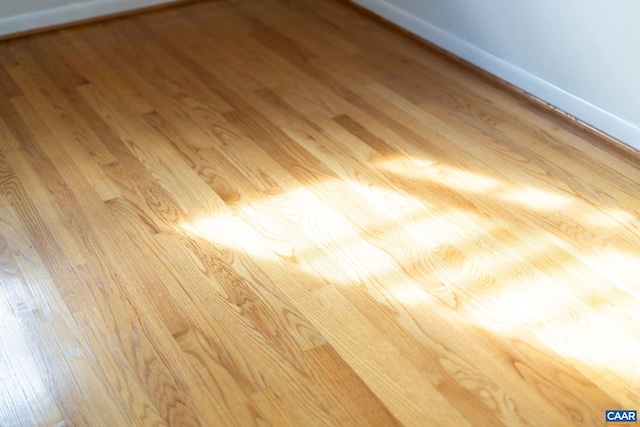 room details with hardwood / wood-style flooring