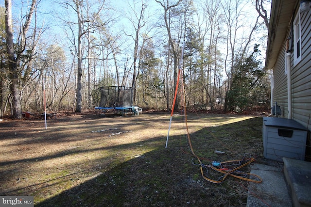 view of yard with a trampoline