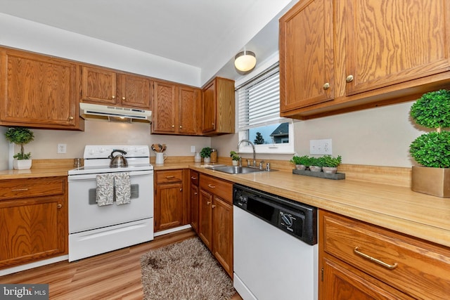 kitchen featuring white appliances, light hardwood / wood-style floors, and sink