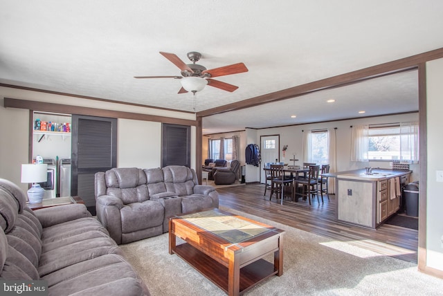 living room with crown molding, a healthy amount of sunlight, dark wood-type flooring, and ceiling fan