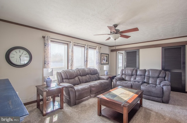 living room featuring ceiling fan, ornamental molding, carpet flooring, and a textured ceiling