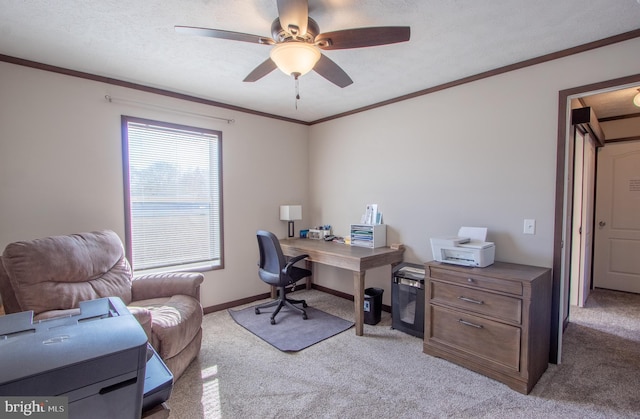 carpeted office space with a textured ceiling, ornamental molding, and ceiling fan