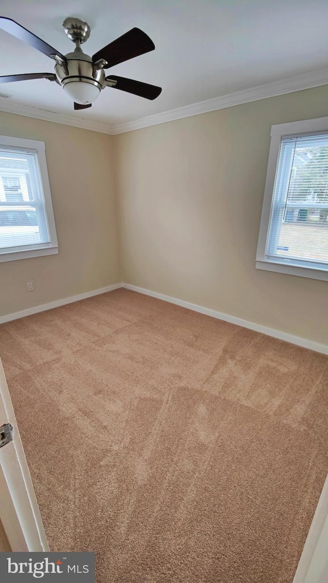 spare room featuring crown molding, ceiling fan, and carpet