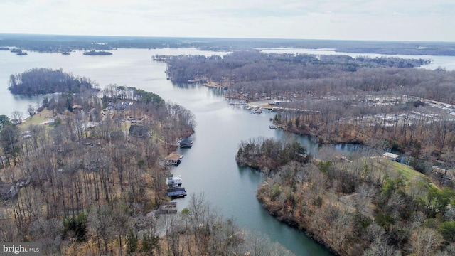 drone / aerial view with a water view and a view of trees