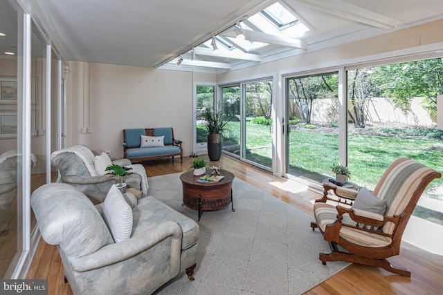 74 Wilson Rd, Princeton, NJ 08540 - sunroom / solarium with wood finished floors and a skylight