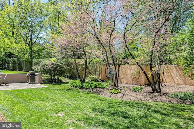 74 Wilson Rd, Princeton, NJ 08540 - view of yard with a patio and a fenced backyard