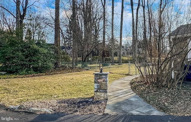 view of home's community with a yard