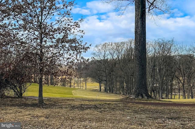 view of local wilderness