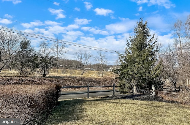 view of yard featuring a rural view