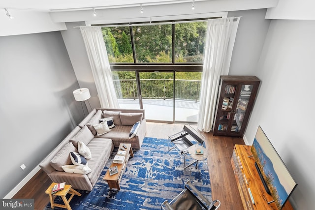 living room with hardwood / wood-style flooring and track lighting