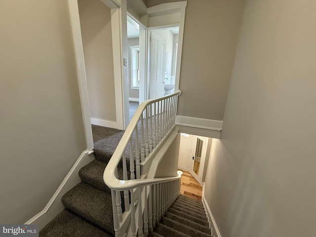 staircase with carpet