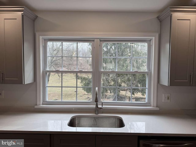 kitchen with sink, dishwasher, and a healthy amount of sunlight