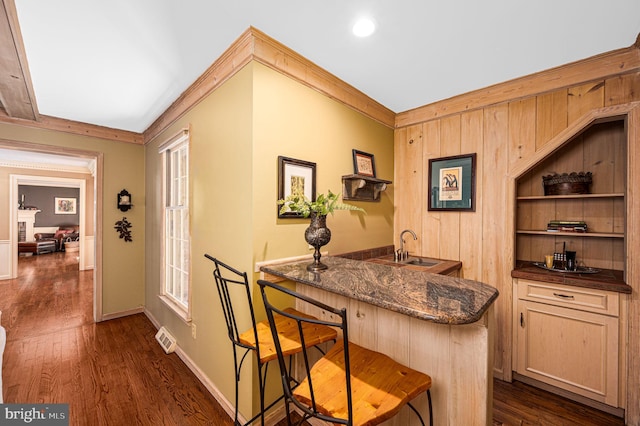 bar with baseboards, ornamental molding, dark wood-style flooring, wet bar, and a sink