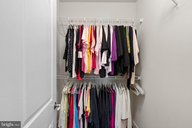 view of closet