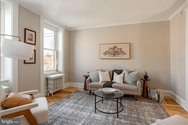 living room featuring ornamental molding, radiator, and light wood-type flooring