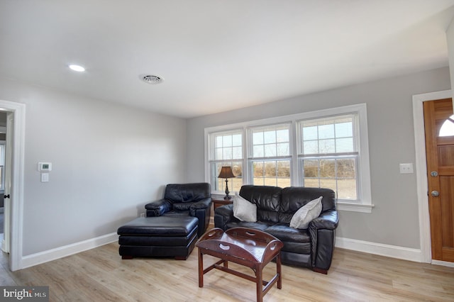 living room with light hardwood / wood-style flooring and a wealth of natural light