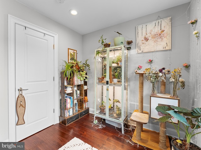 entrance foyer featuring dark wood-type flooring