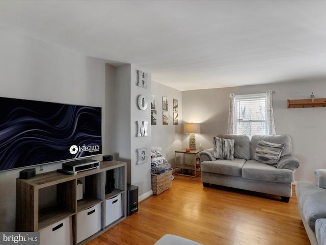 living room featuring light wood-style floors