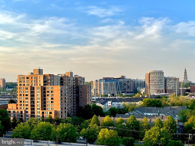 2451 Midtown Ave Unit 516, Alexandria, VA 22303 - property's view of city