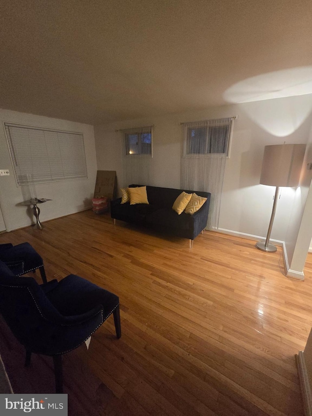 living area featuring wood finished floors