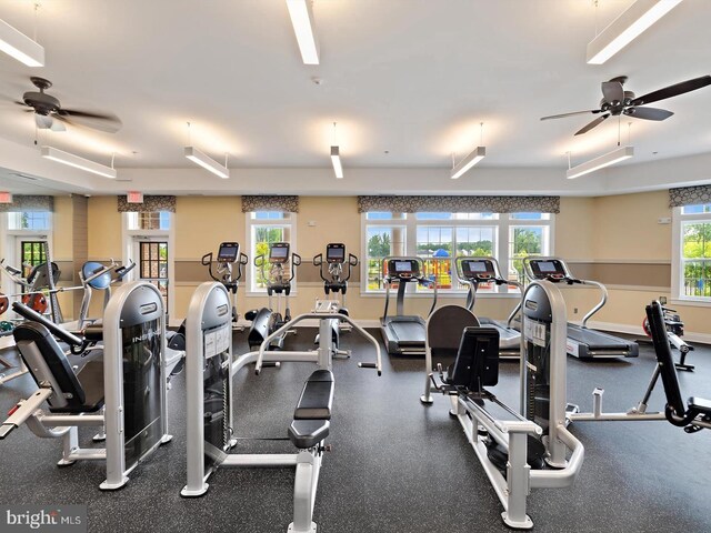 workout area featuring ceiling fan and baseboards