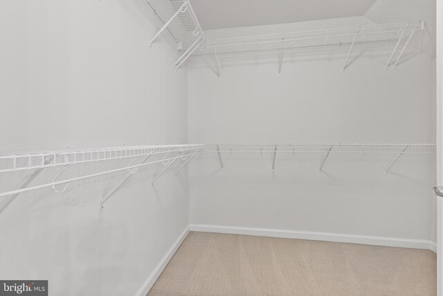 spacious closet with carpet flooring