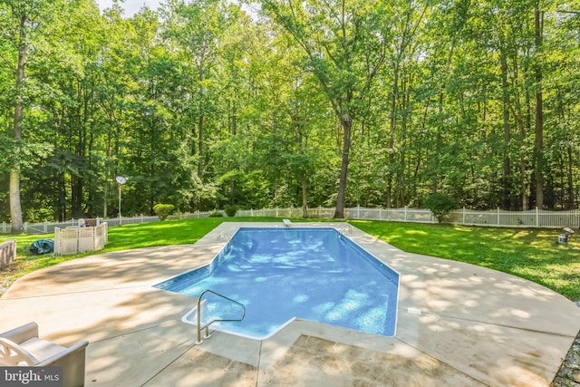 view of swimming pool with a patio, a diving board, and a lawn