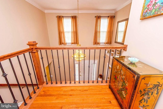 interior space featuring ornamental molding, plenty of natural light, and wood finished floors