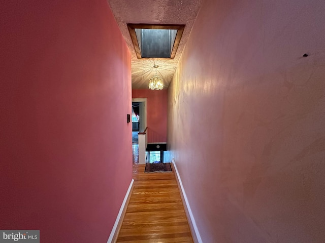 hallway with hardwood / wood-style floors and a textured ceiling