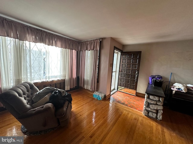 living room with wood-type flooring