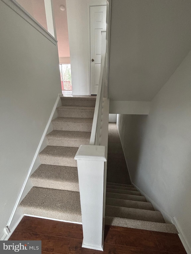staircase with wood-type flooring
