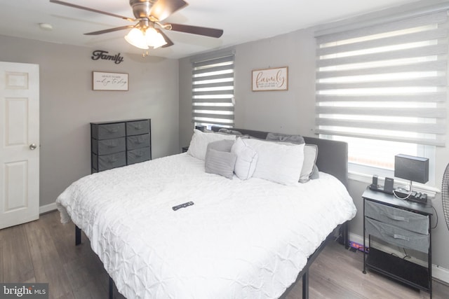 bedroom with multiple windows, hardwood / wood-style floors, and ceiling fan