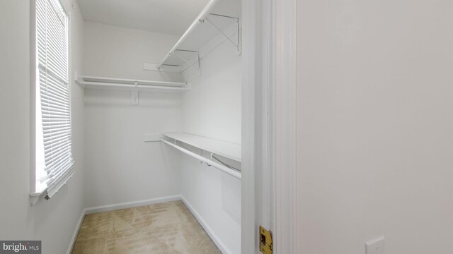 spacious closet with light colored carpet