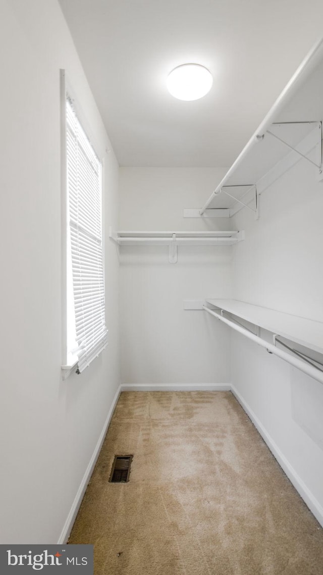 spacious closet with carpet floors