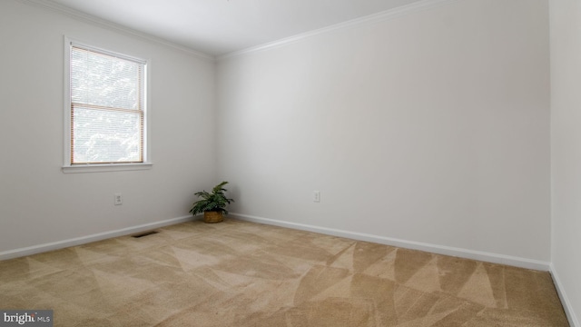 carpeted empty room with crown molding