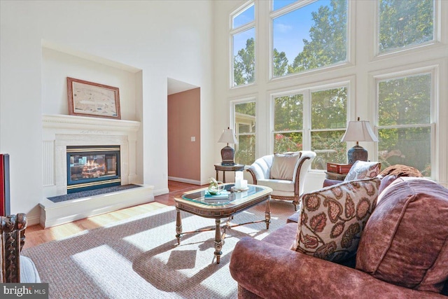 living room with baseboards, a high ceiling, wood finished floors, and a high end fireplace