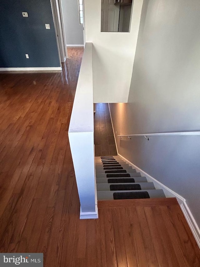 stairway with hardwood / wood-style floors