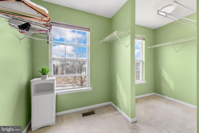 spacious closet with light carpet