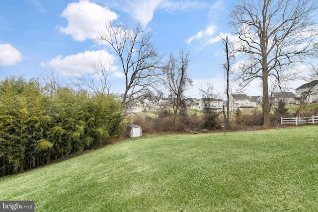 view of yard with a shed