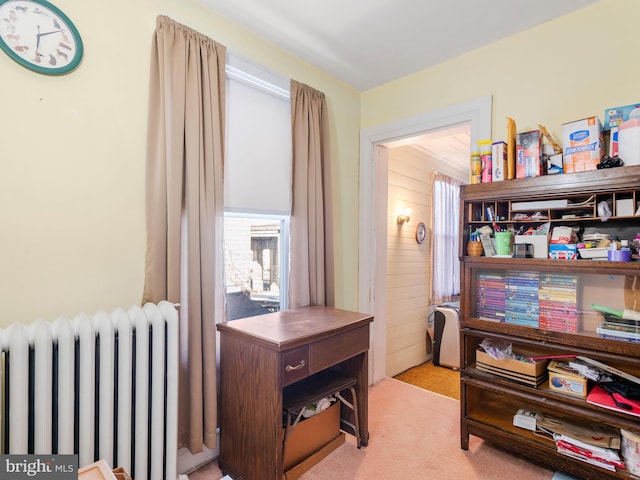 carpeted office featuring a wealth of natural light and radiator heating unit