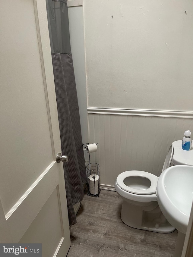 bathroom featuring wood-type flooring, toilet, and sink