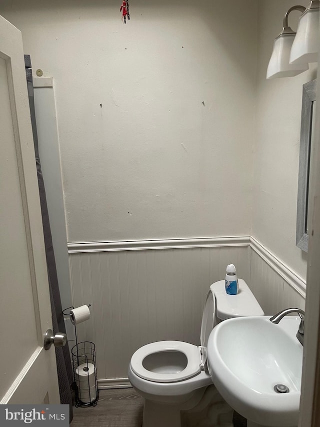 bathroom featuring wood-type flooring, toilet, and sink