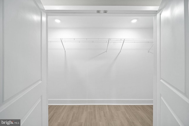 spacious closet featuring light hardwood / wood-style flooring