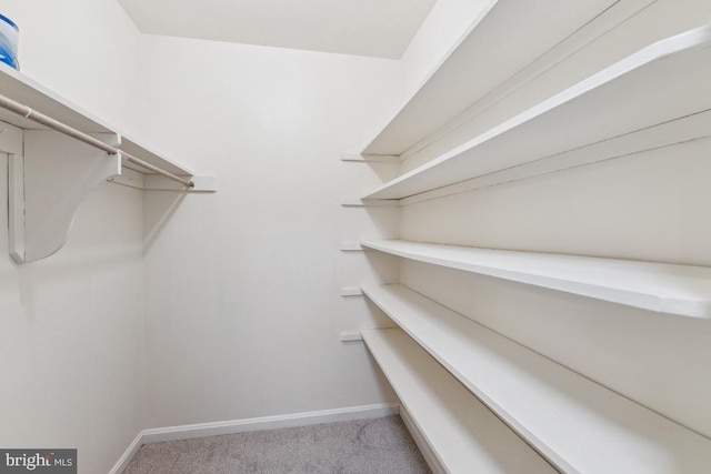 spacious closet with light colored carpet